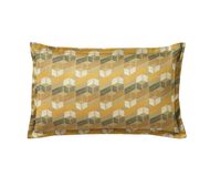 OASIS_COUSSIN_RECTANGLE